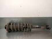StoÃŸdÃ¤mpfer Links Hinten 96639689 Daewoo / Chevrolet Epica Limousine 2.0 D 16V (Z20S)
