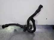 Schlauch 9830800980 Citroën CITROËN BERLINGO *