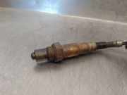 Lambdasonde 3M519G444DC Ford Focus 2 Schrägheck 1.6 Ti-VCT 16V (HXDA)