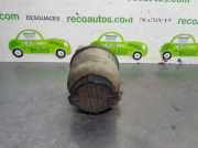 Servolenkung Ölbehälter - - 491804M403 Nissan X-Trail (T30) SUV 2.2 dCi 16V 4x4 (YD22ETi)