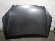 Motorhaube 7901H9 Citroën C5 Berline (DC) Schrägheck 2.0 HDi 110 (DW10ATED(RHZ))