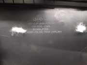 Türverkleidung Rechts Vorne 82360J7000 Kia Xceed SUV 1.0 T-GDi 12V (G3LC)