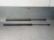 Gasdruckfedern Set Hinten 904506PA0A Nissan Juke (F16) SUV 1.0 DIG-T 117 12V (HRA0)