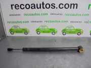 Gasdruckfedern Set Hinten A2217300016 Mercedes-Benz S (W221) Limousine 5.5 S-550 32V (M273.961)