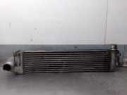 Ladeluftkühler 8200325003 Renault GRAND SCÉNIC II (JM0/1_) 2.0 dCi (JM1K)