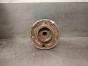 Achsschenkel Halter Rechts Hinten A1699810027 Mercedes-Benz CLASE B Sports Tourer (W245) B 180 CDI (245.207)