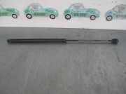 Gasdruckfedern Set Hinten 91ABW406A10 Ford Escort 6 (ANL) Kombi 1.8 CLX,Ghia 16V (RDA)