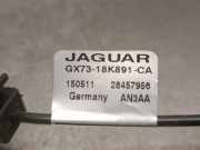 Antenne GX7318K891CA Jaguar (X760) 2.0 D