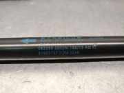 Gasdruckfedern Set Hinten 51953757 Fiat 500L (199) Gro?raumlimousine 1.3 D 16V Multijet Euro 5 (199.B.4000)