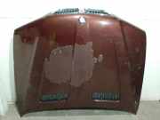 Motorhaube 41617008328 BMW X5 (E53) SUV 3.0 24V (M54-B30(306S3))