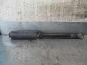 Stoßdämpfer Links Hinten 51831651 Lancia Delta (844) Schrägheck 1.9 D Twin Turbo Multijet 16V (844.A.1000)