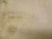 Scheibenwaschbeh?lter 8T0955453C Audi A4 Avant (B8) Kombi 3.0 TDI V6 24V Quattro (CAPA)