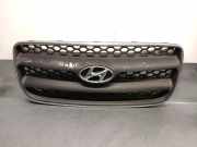 Grill 865612B010 Hyundai Santa Fe II (CM) SUV 2.2 CRDi 16V 4x2 (D4EB)