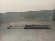 Gasdruckfedern Set Hinten Renault I (B56_, 556_) 1.8 (B56A/B)