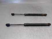 Gasdruckfeder Set Vorne 51237289753 BMW 7 serie (F01/02/03/04) Limousine 730d 24V (N57-D30A)