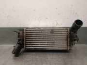 Ladeluftkühler L1BG6K775AA Ford Puma SUV 1.0 Ti-VCT EcoBoost mHEV 12V (B7JB)