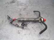 Kraftstoff-Injector 038130201F Seat Leon (1M1) Schrägheck 5-drs 1.9 TDI 90 (AGR)