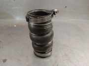 Schlauch 0382PJ Citroën CITROËN C-ELYSÉE 1.6 HDi FAP