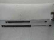 Gasdruckfedern Set Hinten 8731G6 Peugeot 807 Großraumlimousine 2.2 HDiF 16V (DW12TED4(4HW))
