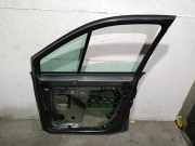 T?r Rechts Vorne 801002354R Renault Sc?nic II (JM) Gro?raumlimousine 1.5 dCi 105 (K9K-732)