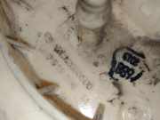 Tankschwimmer 5N0919088M Volkswagen Tiguan (5N1/2) SUV 2.0 TDI 16V Blue Motion (CFFD) CFFD