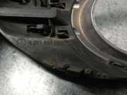 Stoßstangengitter LINKS LINKS A2118850922 Mercedes-Benz E Kombi (S211) Kombi 3.0 E-280 CDI 24V (OM642.920)