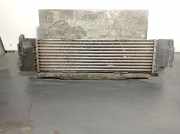 Ladeluftkühler 17518592701 BMW 3 serie (G20) Limousine 320d 2.0 TwinPower Turbo 16V Mild Hybrid (B47-D20B)