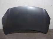 Motorhaube 651000024R Renault I (HY_) 2.0 dCi (HY0K)