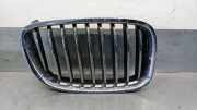 Grill 51137200168 BMW 5 serie Gran Turismo (F07) SchrÃ¤gheck 530d 24V (N57-D30A)