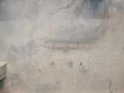 Zierleiste VOOR 8200036086 Nissan Primastar Van 1.9 dCi 80 (F9Q-762)