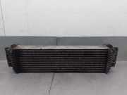 Ladeluftkühler 17517805629 BMW 5 serie (F10) Limousine 530d 24V (N57-D30A)