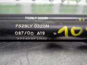 Gasdruckfedern Set Hinten Fiat Bravo (182A) Schr?gheck 3-drs 1.6 SX 16V (182.B.6000(Euro 3))