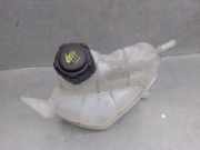 Ausgleichbehälter - - 217114EA0A Nissan Qashqai (J11) SUV 1.5 dCi 115 (K9K-872)