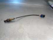 Lichtschalter 255671274R Dacia II 1.0 12V CAT