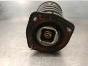 Sto?d?mpfer Rechts Hinten 553612C250 Hyundai Coupe Coup? 1.6 16V (G4ED)