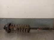 StoÃŸdÃ¤mpfer Links Hinten 200369 Ford Escort 6 (AAL/ABL) SchrÃ¤gheck 1.6 16V (L1E)