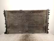 Radiator 8200297816 Renault Trafic New (FL) Van 2.5 dCi 16V 135 (G9U-730)