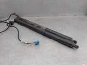 Gasdruckfedern Set Hinten A2478902400 Mercedes-Benz GLA (H247) SUV 2.0 200d 4-Matic (OM654.920)