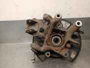 Achsschenkel Halter Rechts Hinten 4230442020 Toyota RAV4 (A3) Geländewagen 2.2 D-4D 16V 4x4 (2AD-FTV)