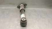 Sto?d?mpfer Rechts Hinten 9842159980 Opel Corsa F (UB/UH/UP) Schr?gheck 5-drs 1.2 12V 75 (F12XEL(EB2FD))