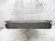 Ladeluftkühler 17512247359 BMW 5 serie (E39) Limousine 525d 24V (M57-D25)