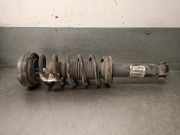 Sto?d?mpfer Links Hinten 33526796422 BMW X3 (F25) SUV xDrive20d 16V (B47-D20A)