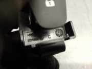 Warnleuchte Schalter 252905668R Dacia II (B8_) 1.0 SCe 75 (B8JC, B8JD)