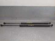 Gasdruckfedern Set Hinten 8200665709 Renault / GRAND (F/JP0_) 1.6 (JP03, JP0B, JP0U, JP0Y, JP1G)
