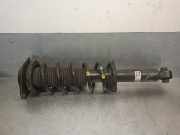 Stoßdämpfer Links Hinten 20365AL030 Subaru Outback (BS) Kombi 2.0 D 16V (EE20Z)