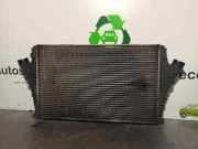 Ladeluftkühler 13108570 Opel Signum (F48) Schrägheck 5-drs 3.0 CDTI V6 24V (Y30DT)