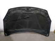 Motorhaube 664002L010 Hyundai 1.6 CRDi CAT