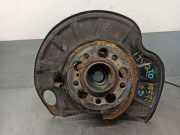 Achsschenkel Halter Rechts Hinten A2213502208 Mercedes-Benz S (W221) Limousine 5.5 S-550 32V (M273.961)