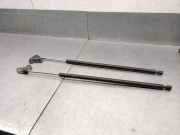 Gasdruckfedern Set Hinten 1498071080 Citroën CITROËN JUMPY II Furgoneta 2.0 HDi 120
