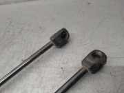 Gasdruckfedern Set Hinten 46830389 Fiat Idea (350AX) Großraumlimousine 1.3 JTD 16V Multijet (188.A.9000)